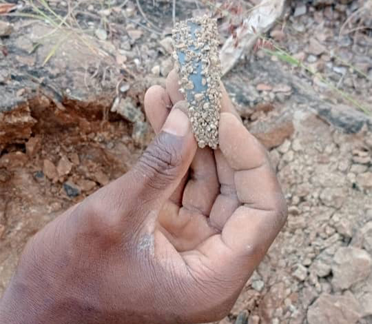 Fortunes Gate Geocapital