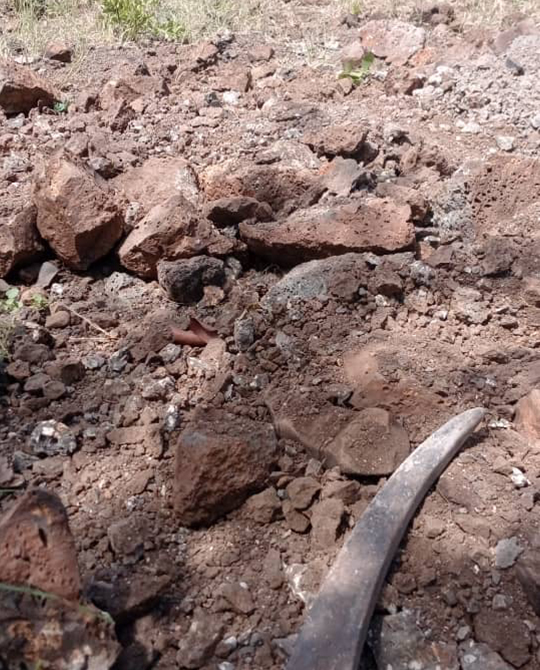 Fortunes Gate Geocapital