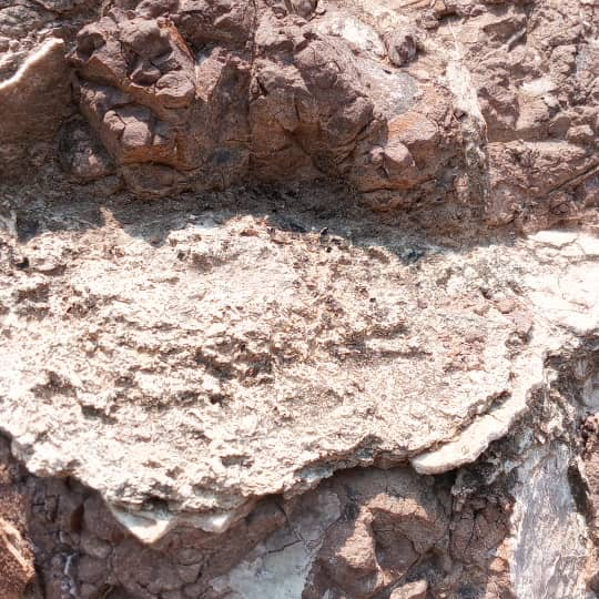 Fortunes Gate Geocapital