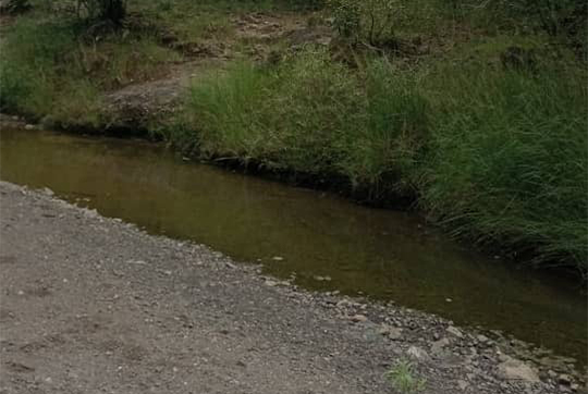 Fortunes Gate Geocapital