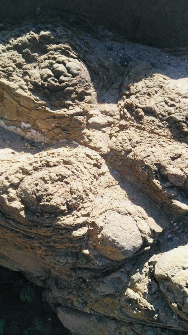 Fortunes Gate Geocapital