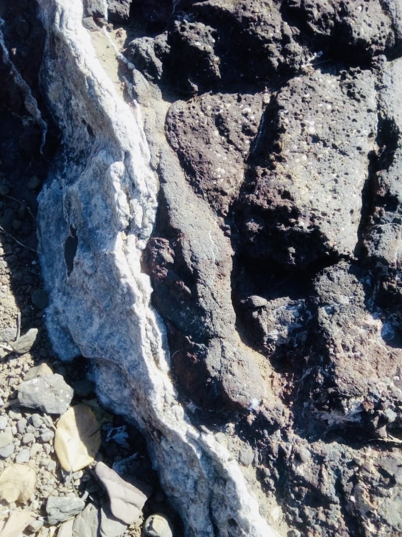 Fortunes Gate Geocapital