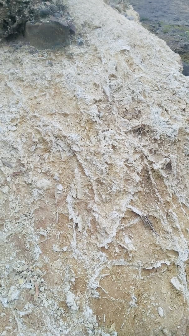 Fortunes Gate Geocapital