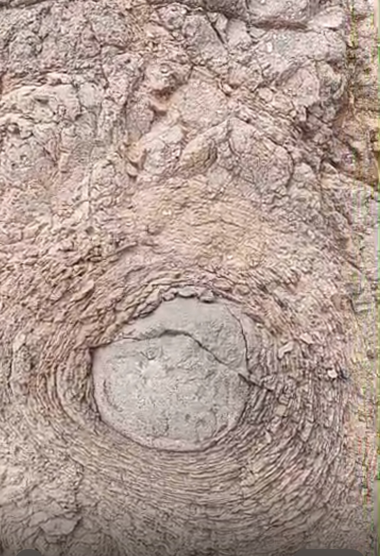 Fortunes Gate Geocapital