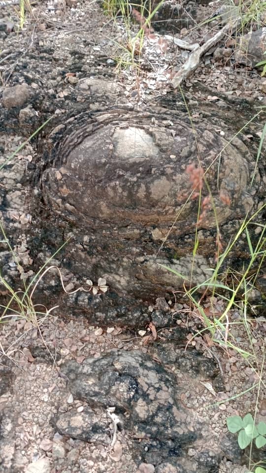 Fortunes Gate Geocapital