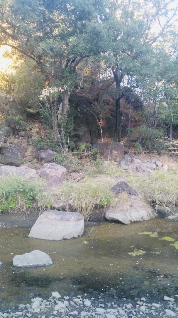 Fortunes Gate Geocapital