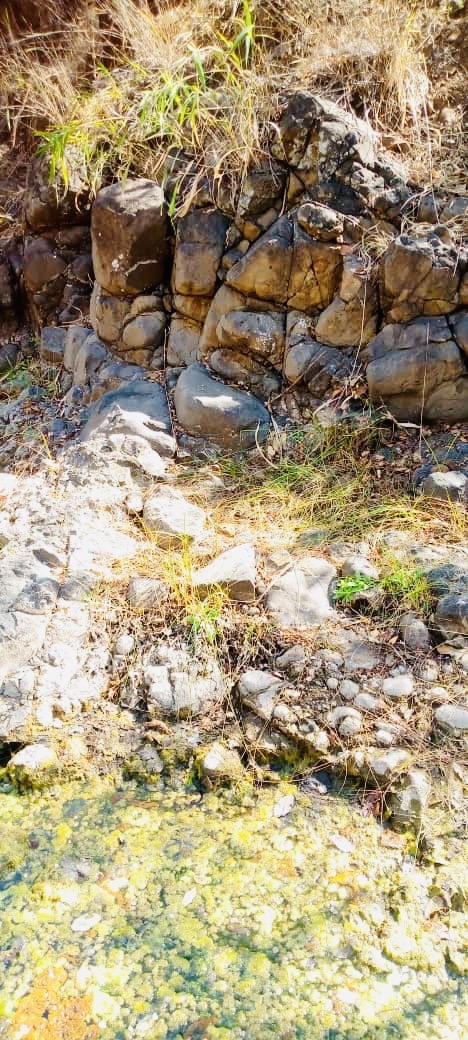 Fortunes Gate Geocapital