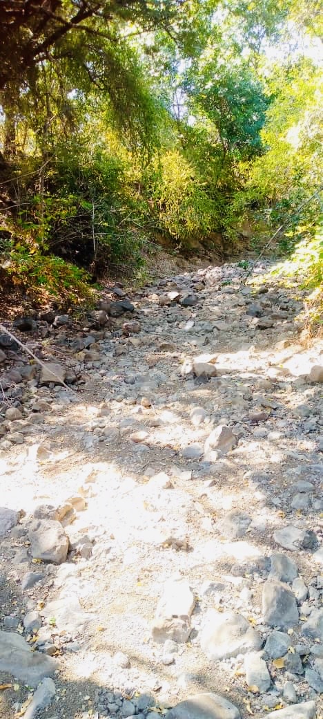 Fortunes Gate Geocapital