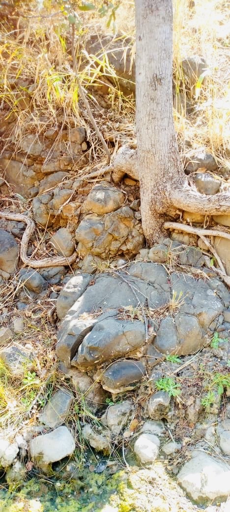 Fortunes Gate Geocapital